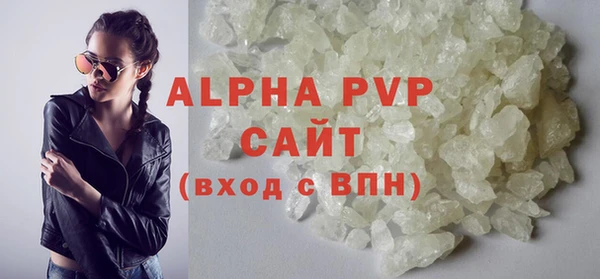 дживик Няндома