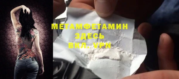 дживик Няндома