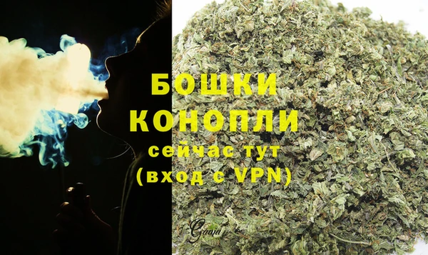 дживик Няндома