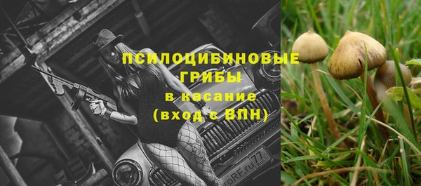 первитин Осинники
