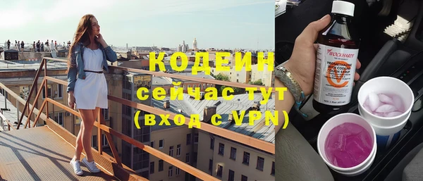дживик Няндома
