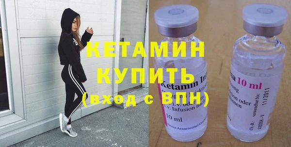 дживик Няндома