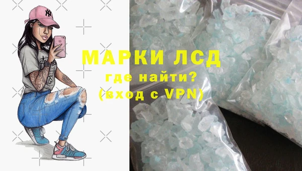 дживик Няндома