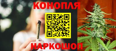 Альфа ПВП Волгодонск