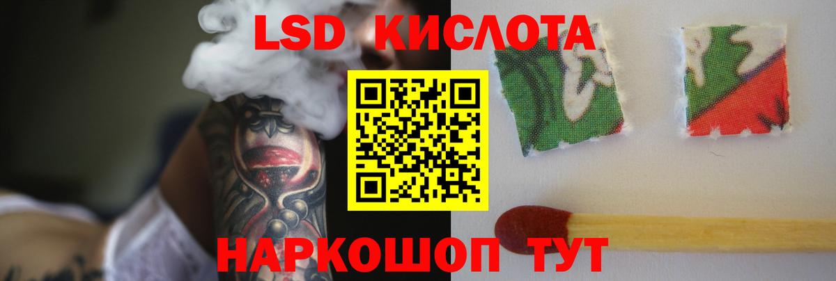 ссылка на мегу маркетплейс  LSD-25 экстази кислота  Вход с VPN  Заводоуковск 