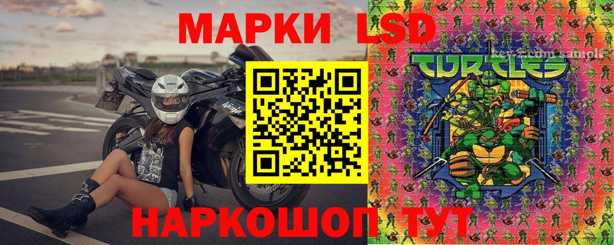 Бошки Шишки Заводоуковск