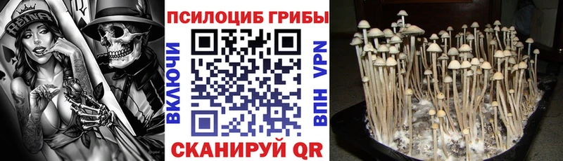 сайты даркнета Telegram  ссылка на мегу сайт  Галлюциногенные грибы прущие грибы  Заводоуковск  наркошоп 