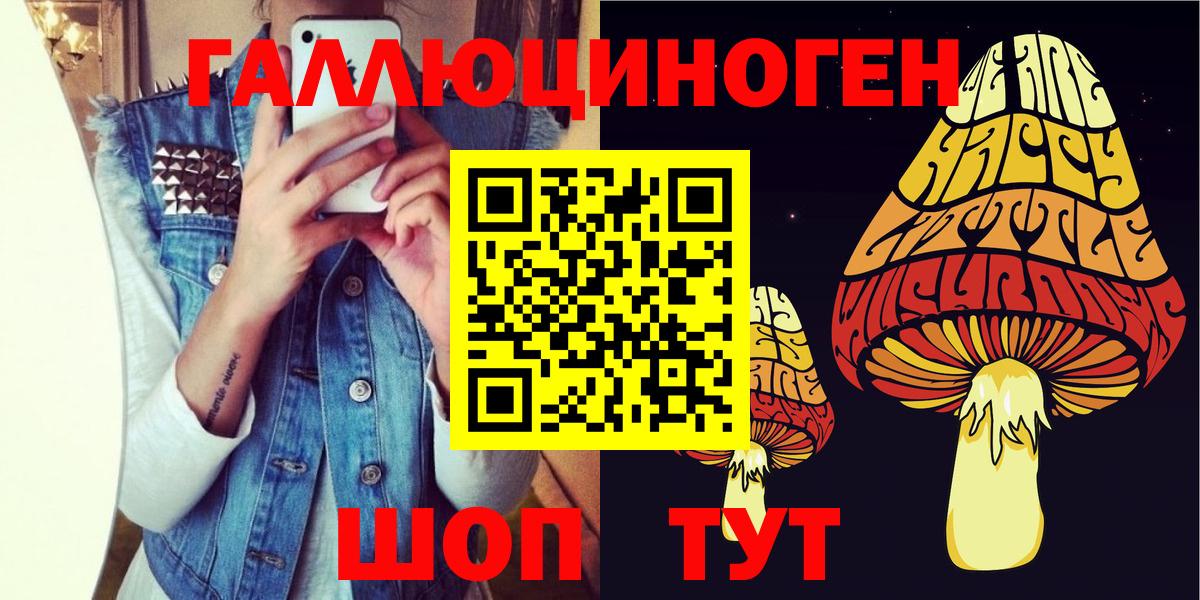 Заводоуковск  Псилоцибиновые грибы прущие грибы  Вход с VPN 